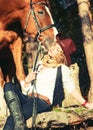 Happy cowgirl with her red horse. Royalty Free Stock Photo