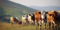 happy cows in the farm, bottles of milk in the factory, eco products. Generative AI
