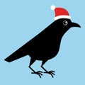 Happy crow wearing christmas cap isolated on blue background. Happy New Year illustration