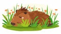 Happy, cute capybara sleeping in nature. Lazy capibara relaxing, chilling, lying on grass. Flat modern illustration