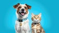 Happy Cute Cat And Dog With Collars On Blue Background. Generative AI