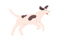 Happy cute dog running with joy. Friendly doggy walking with tail up. Joyful pet. Adorable canine animal. Flat vector