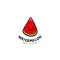 Happy cute face watermelon logo, cute fruit smiles emoji mascot character icon Royalty Free Stock Photo