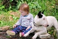 Happy cute female baby and dog is sitting in garden. Child is playing with English Bull Terrier white dog outside in park. Royalty Free Stock Photo