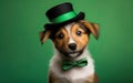 Happy cute friendly shaggy puppy in St Patricks Day costume, a black top hat and a bow tie on green background, AI Generative