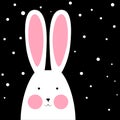 Happy, cute, funny rabbit - winter illustration.