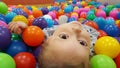 Close up portrait child playing with colorful balls in playground ball pool. Activity toys for little kid Royalty Free Stock Photo