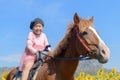 Happy cute girl riding horse in sunflower field Royalty Free Stock Photo