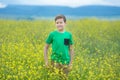 Happy cute handsome little kid boy on green grass lawn with blooming yellow dandelion flowers on sunny spring or summer day. Littl Royalty Free Stock Photo