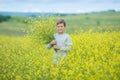 Happy cute handsome little kid boy on green grass lawn with blooming yellow dandelion flowers on sunny spring or summer day. Littl Royalty Free Stock Photo