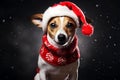 ai generated happy cute Jack Russell Terrier dog in Santa Claus hat on dark snowy Christmas background New Year\'s