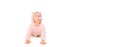 Happy cute little baby crawling in pink bathrobe on the floor on white background, banner blank copy space for advertising text Royalty Free Stock Photo