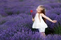 Happy cute little girl in lavender field holding bouquet of purple flowers. Royalty Free Stock Photo