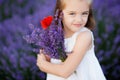 Cute little girl in lavender field holding bouquet of purple flowers. Royalty Free Stock Photo