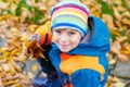 Happy cute little kid boy with autumn leaves playing in garden Royalty Free Stock Photo