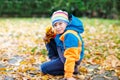 Happy cute little kid boy with autumn leaves playing in garden Royalty Free Stock Photo