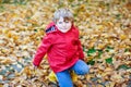 Happy cute little kid boy with autumn leaves playing in garden Royalty Free Stock Photo