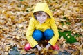 Happy cute little kid boy with autumn leaves playing in garden Royalty Free Stock Photo