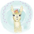 Happy cute little llama smiling