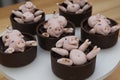 Happy cute pink pigs candies playing in the mud