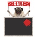 Happy cute pug puppy dog holding up red banner sign with text sale % off, with blank blackboard Royalty Free Stock Photo