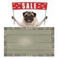 Happy cute pug puppy dog holding up red banner sign with text sale % off, with vintage wooden board Royalty Free Stock Photo