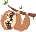 Happy Cute Sloth Cartoon Character Lazy Hanging On A Tree Branch Royalty Free Stock Photo