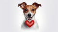 Happy cute small dog with red heart on white background celebrating Royalty Free Stock Photo