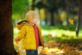 Happy cute toddler boy having fun with autumn leaves Royalty Free Stock Photo