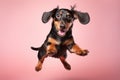 Happy Dachshund Dog In Jumping, In Flight On Pastel Pink Color Background. Generative AI