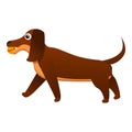 Happy dachshund icon, cartoon style