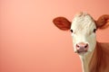 Happy dairy cattle in stylish pose on solid pastel background with copy space for text placement