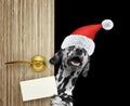 Happy dalmatian dog in red christmas santa claus hat looking out the door entrance at home with empty card. Isolated on Royalty Free Stock Photo