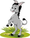 Happy dancing donkey on the lawn Royalty Free Stock Photo
