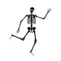 Happy dancing skeletons on Halloween Royalty Free Stock Photo