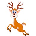 Happy deer cartoon with blank sign