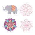 Happy diwali festival, floral mandala flowers and elephant icons vector design