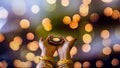 Happy Diwali - Woman hands with henna holding lit candle isolated on dark background. Clay Diya lamps lit during Dipavali, Hindu Royalty Free Stock Photo