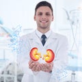 Happy doctor holding virtual image of kidneys indoors