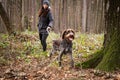 Happy dog of the Barbu tcheque breed pulls his owner behind him and enjoys a trip into the wilderness. Authentic situation between