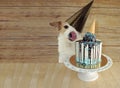 HAPPY DOG CELEBRATING BIRTHDAY OR ANNIVERSARY PARTY WITH A TASTY ICE CREAM CONE CAKE AGAINST WOODEN BACKGROUND Royalty Free Stock Photo