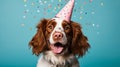 Happy dog celebrating birthday party with confetti and party hat on pastel background