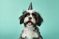 Happy dog celebrating birthday party with party hat and falling confetti on pastel background Royalty Free Stock Photo