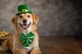 Happy dog celebrating St. Patrick\'s Day, close-up. A young dog in a leprechaun hat. St. Patrick\'s Day theme concept Royalty Free Stock Photo