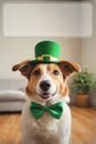 Happy dog celebrating St. Patrick\'s Day, close-up. A young dog in a leprechaun hat. St. Patrick\'s Day theme concept Royalty Free Stock Photo