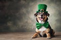 Happy dog celebrating St. Patrick\'s Day, close-up. A young dog in a leprechaun hat. St. Patrick\'s Day theme concept Royalty Free Stock Photo
