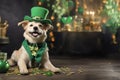 Happy dog celebrating St. Patrick\'s Day, close-up. A young dog in a leprechaun hat. St. Patrick\'s Day theme concept Royalty Free Stock Photo