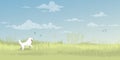 Happy dog chasing butterfly on grass field in spring season flat design vector illustration. Dog unleashed in the public park