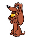 Happy dog Dachshund champion medal