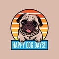 Happy dog days pug dog smiling concept vector illustration Royalty Free Stock Photo